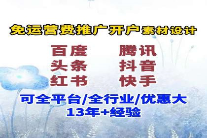 百度竞价排名机制：成功案例与策略探讨